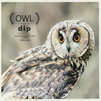OWL | dip | KiliKiliVilla