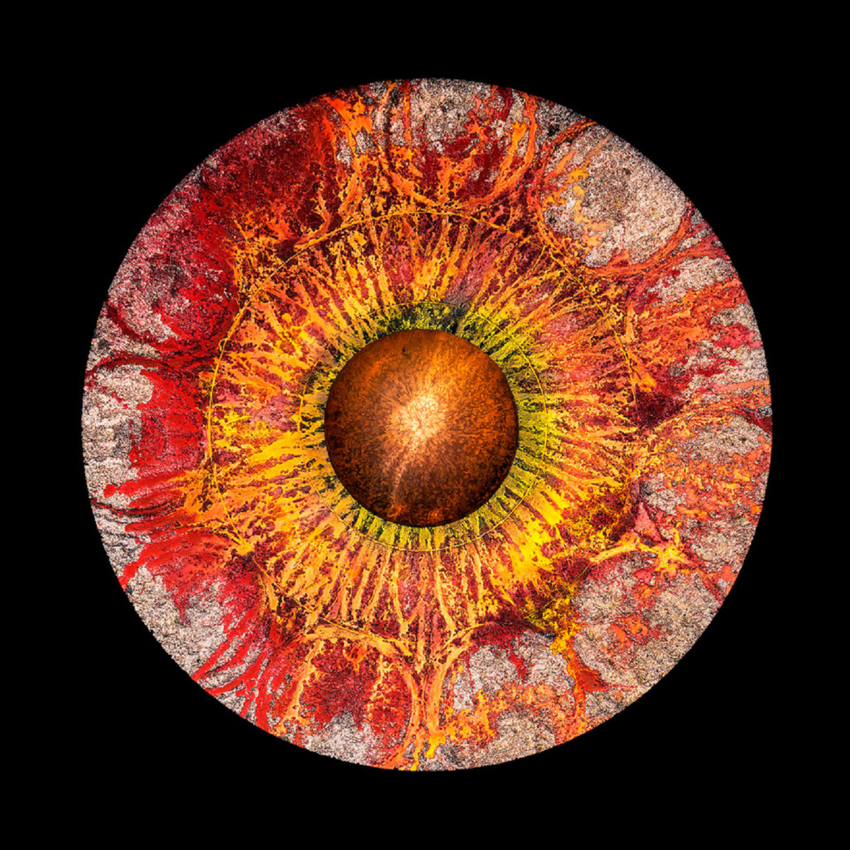 20.000 Éguas Submarinas | Rui Reininho, image size:1200x1200