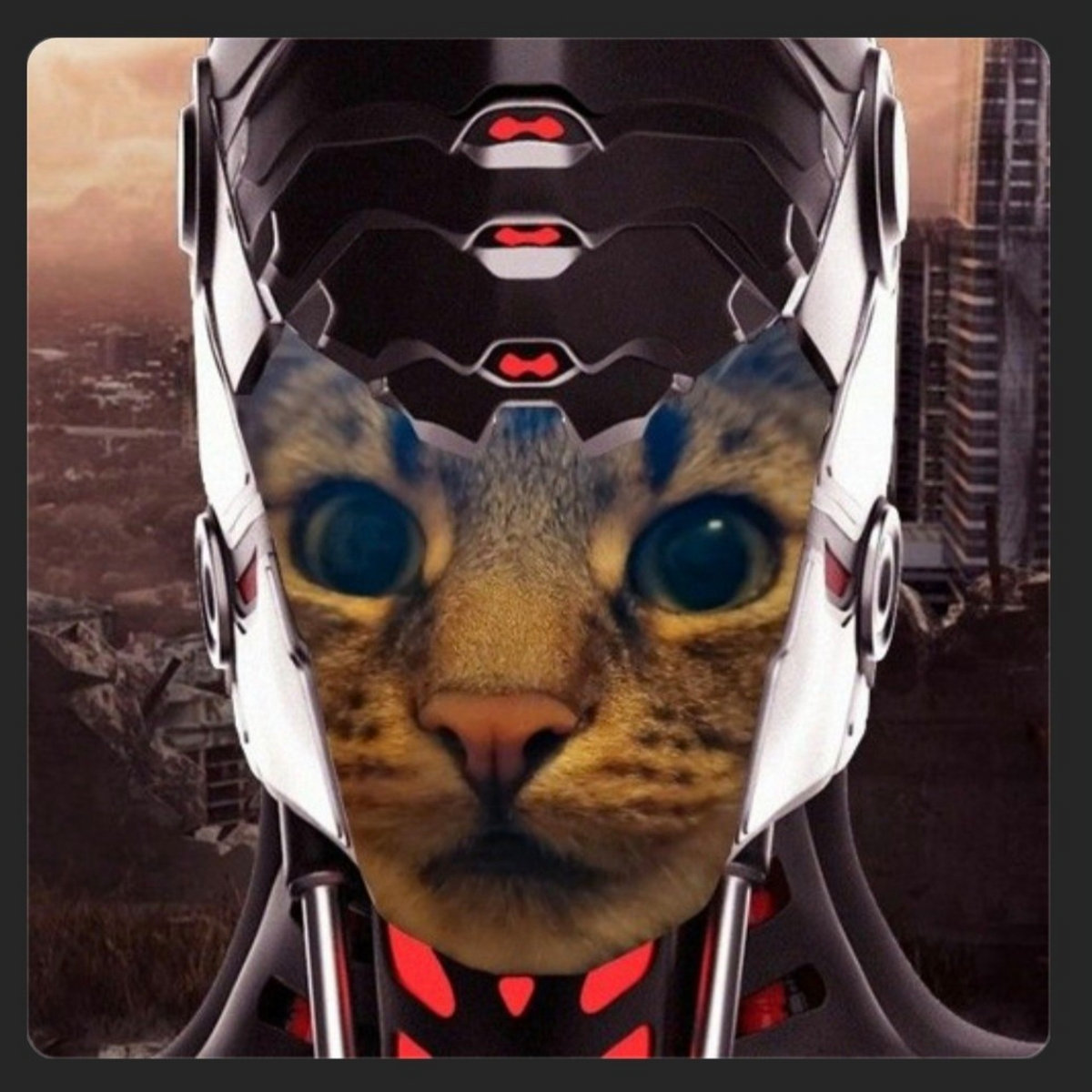 We Are The Borg cover