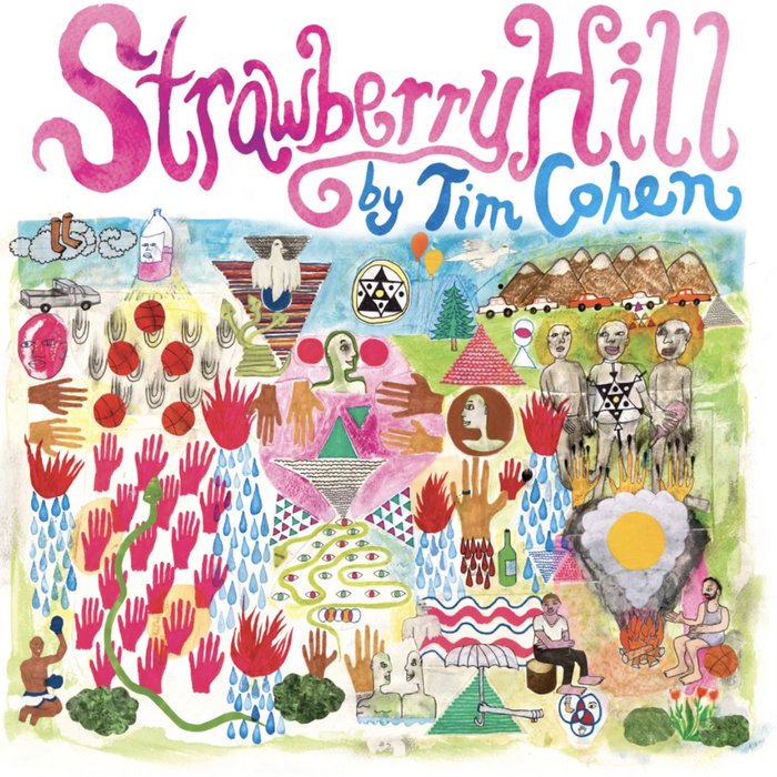 Strawberry Hill Tim Cohen