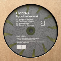 Plant43 — Mycelium Network