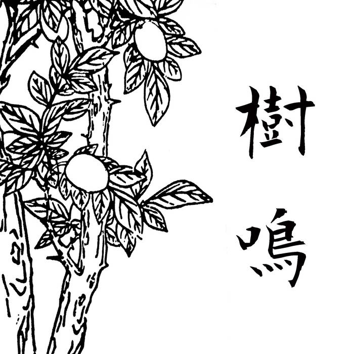 樹鳴| 檳榔袋鼠Betelnut Kangaroo