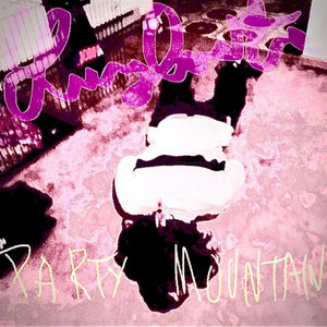 Lungbuster — Party Mountain