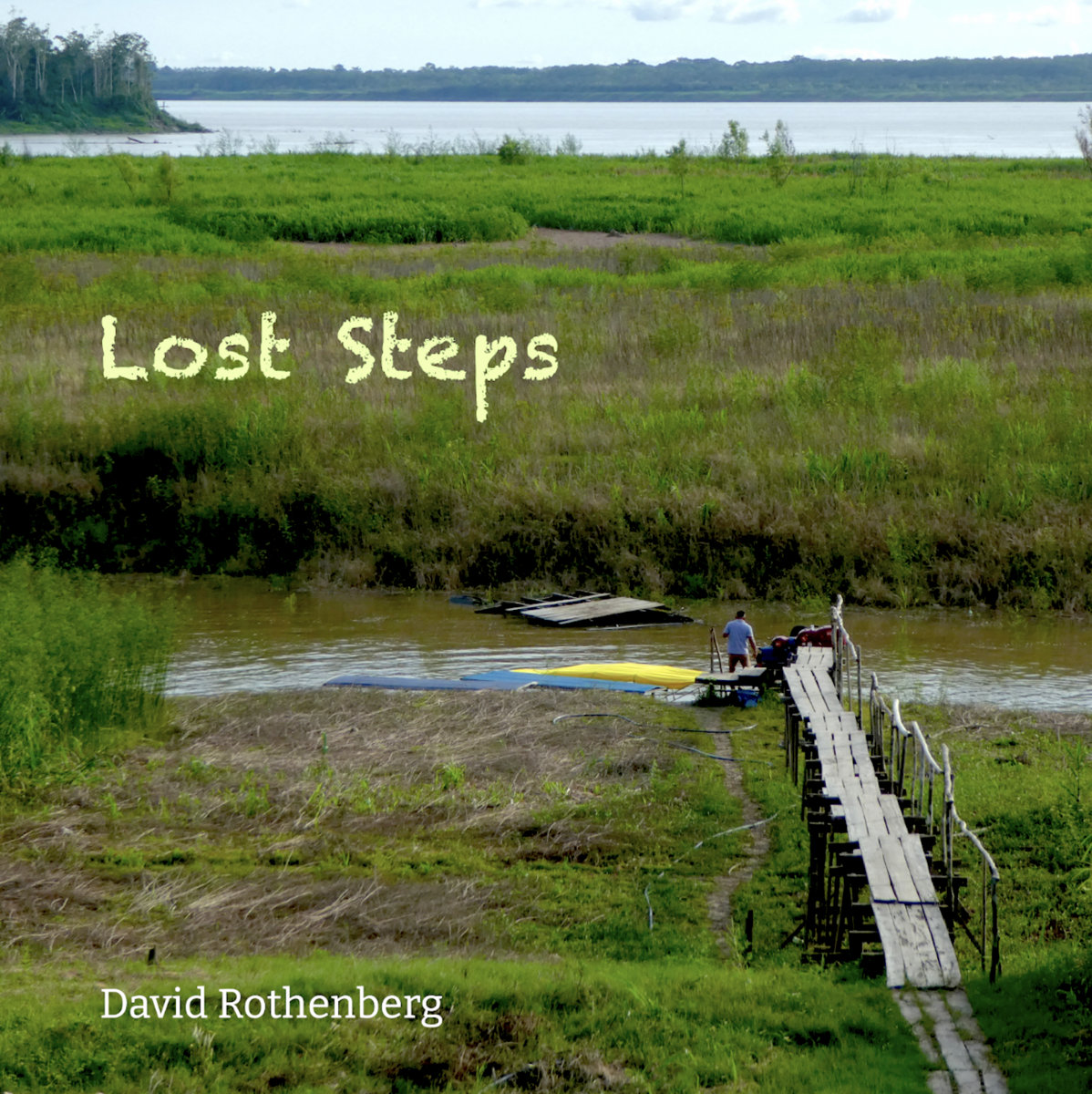 Lost Steps | David Rothenberg | Terra Nova Music