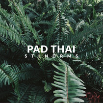 pad thai cover art