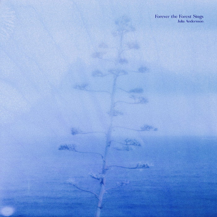 Pochette de Forever the Forest Sings par Julia Andersson
