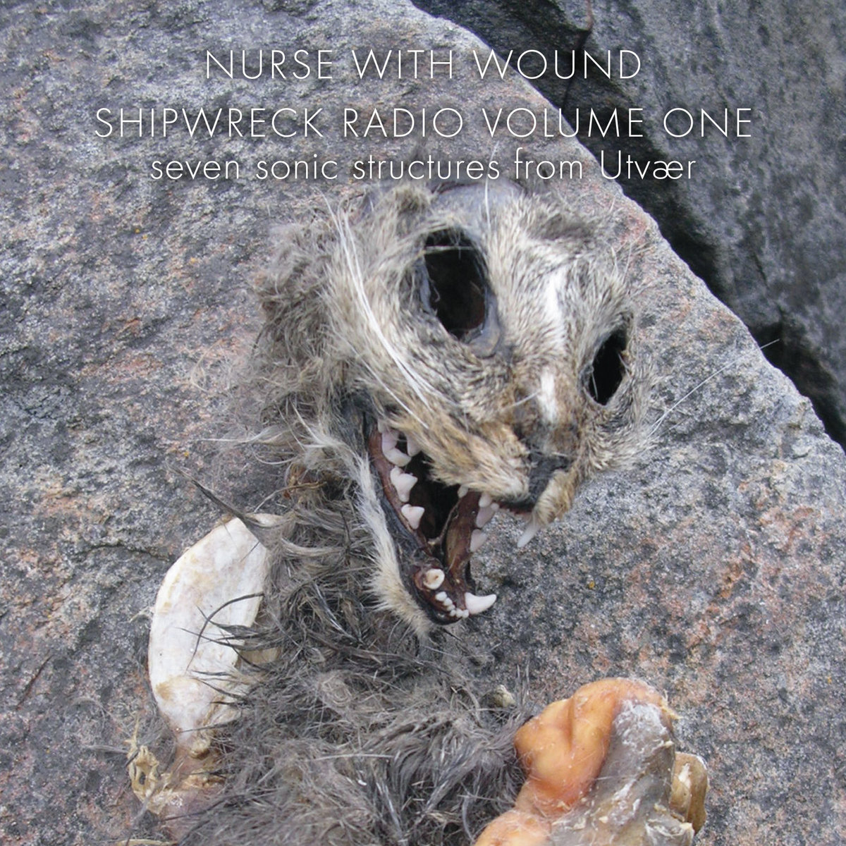 洋楽 Soundpooling Nurse With Wound Soundpooling | Nurse with Wound | ICR Distribution