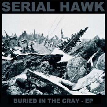 Buried In The Gray | Serial Hawk