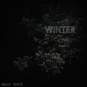 Winter cover