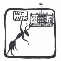 Not Ants cover art