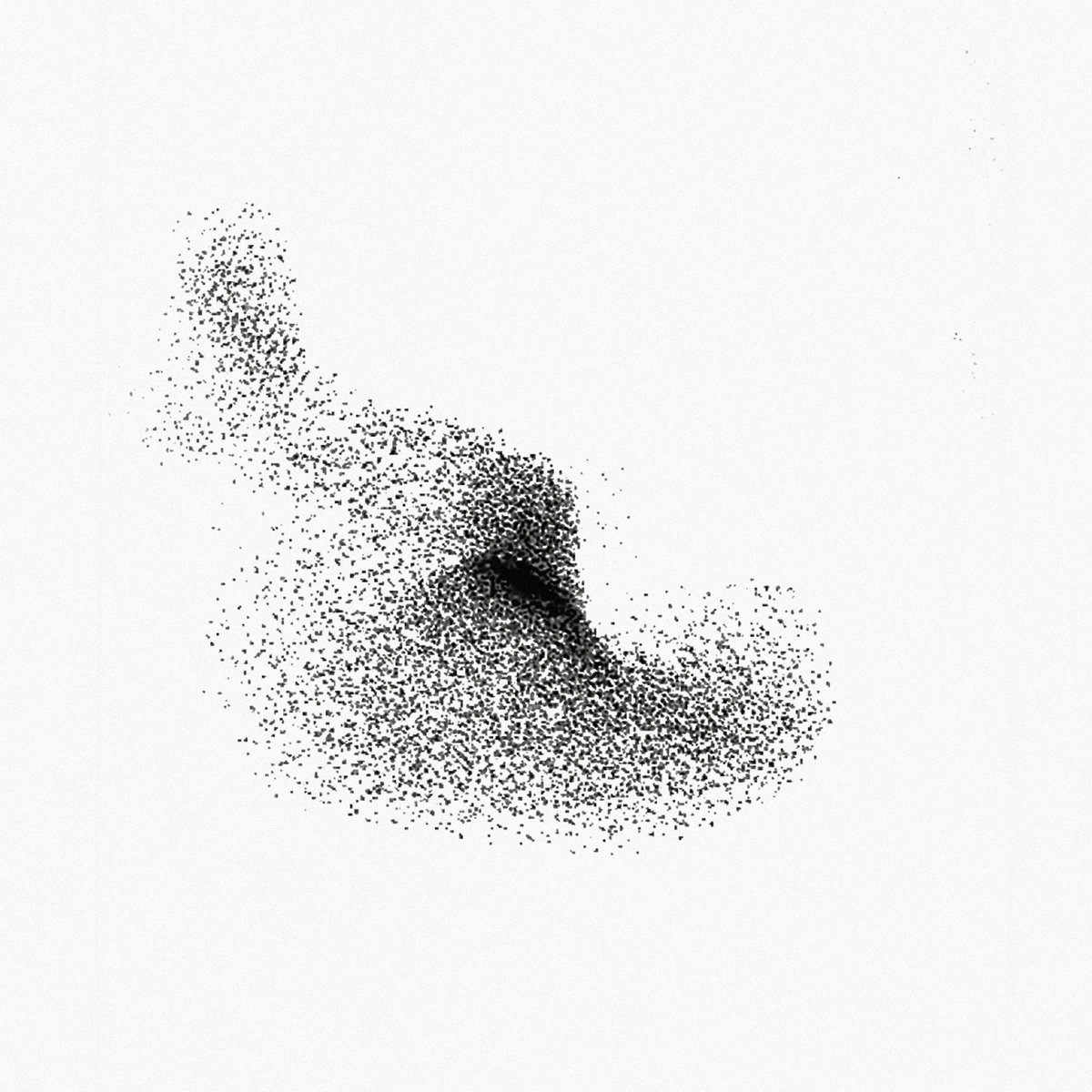 Solan Goose | Erland Cooper