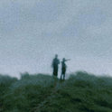 the storm never left cover art