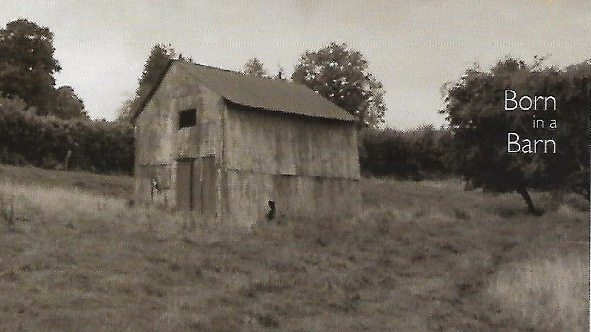 Born In A Barn Paul Rooney