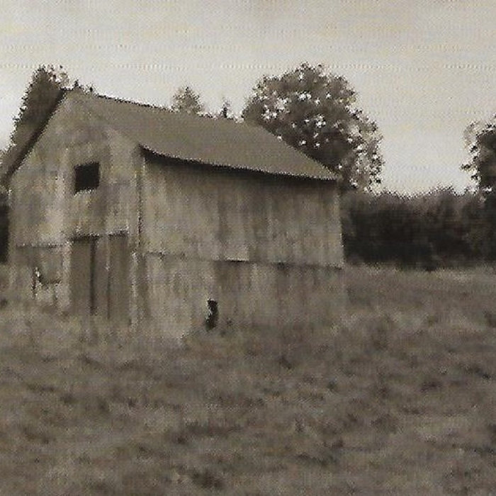 Born In A Barn Paul Rooney