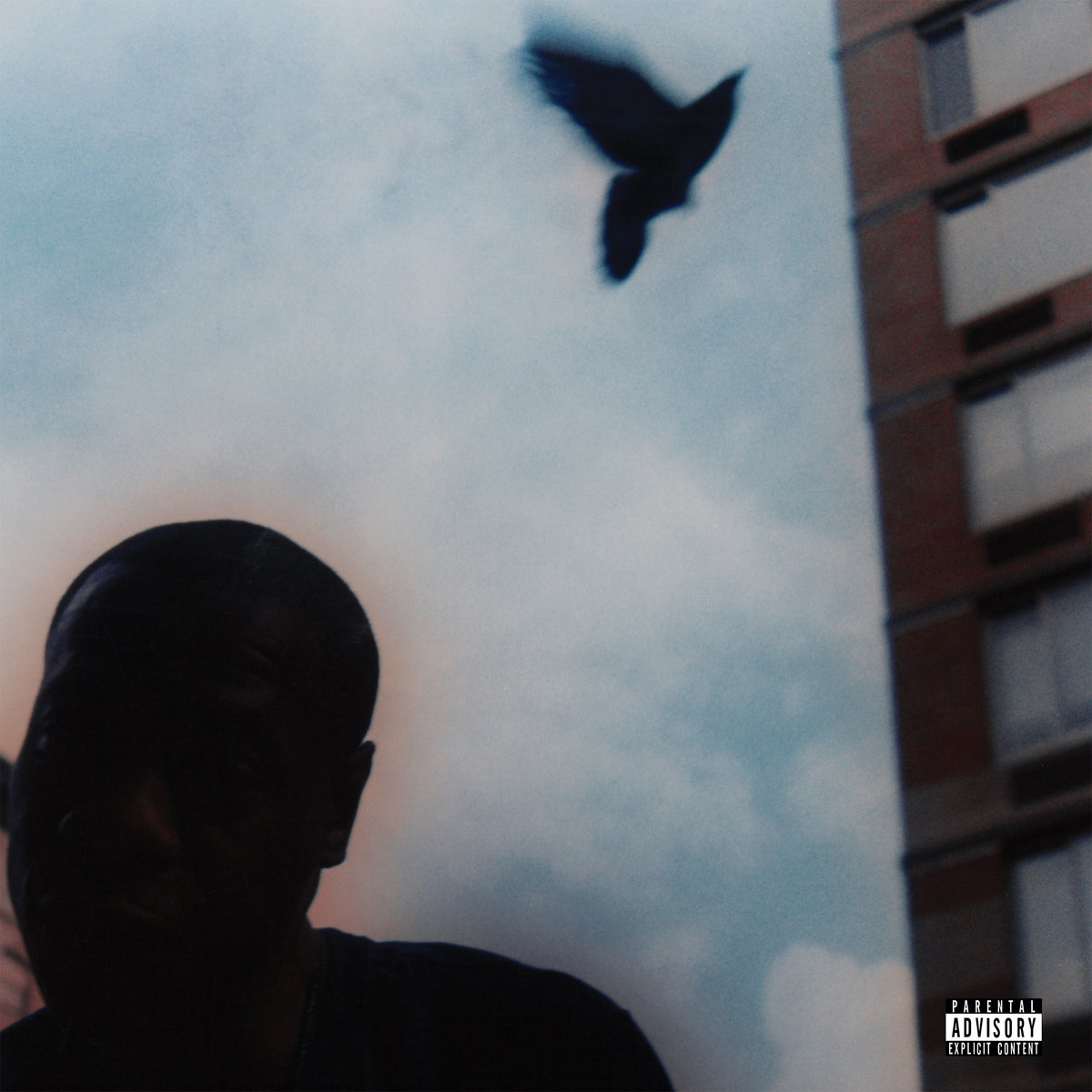 The Pearl | Sensational ft. Planteaterz | naff recordings