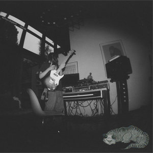Lizards cover
