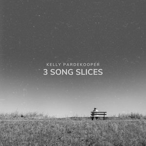 3 SONG SLICES cover