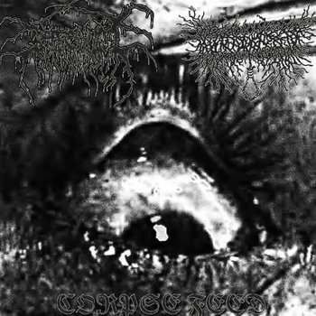 Cover of BARASHUM / BIATHANATOS - CORPSE FEED (SPLIT)