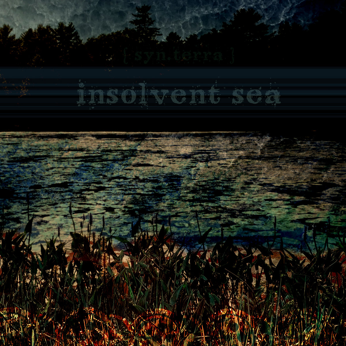 Insolvent Sea