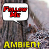Follow Me