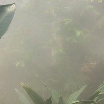 Sister City cover art