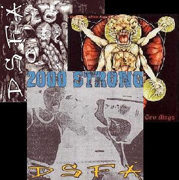 D.S.F.A. - ANTHOLOGY (2000) cover