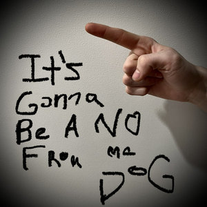 It's Gonna Be A No From Me Dog cover