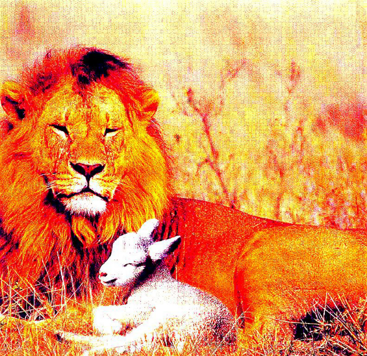One day as a lion 2012 soothbone