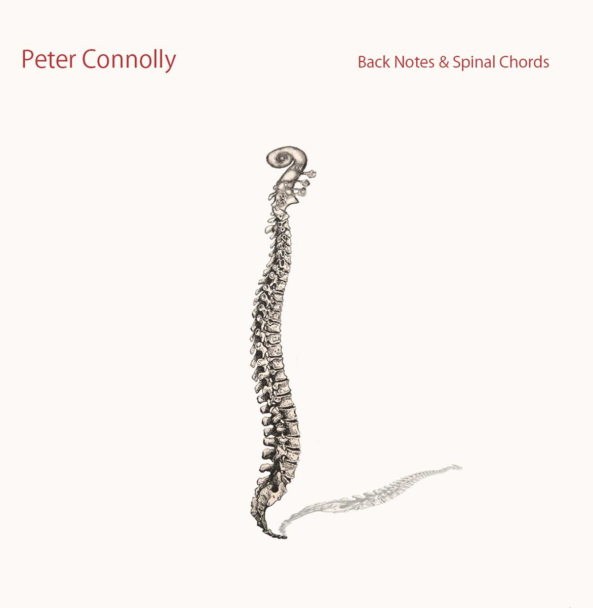Back Notes and Spinal Chords cover