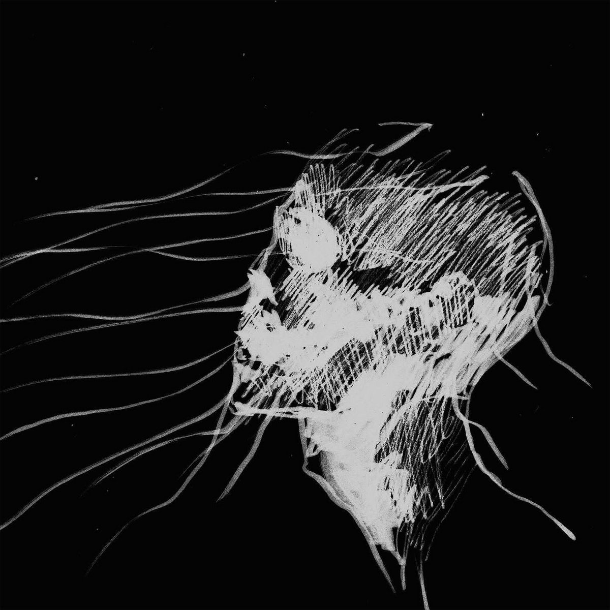 Venus | SCATTLE