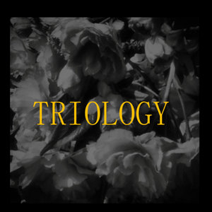 Triology — Live At The Zinc Rolling Mill