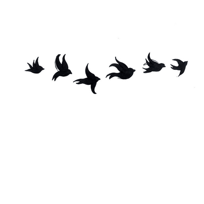 isle of flightless birds - twenty one pilots {layered ...