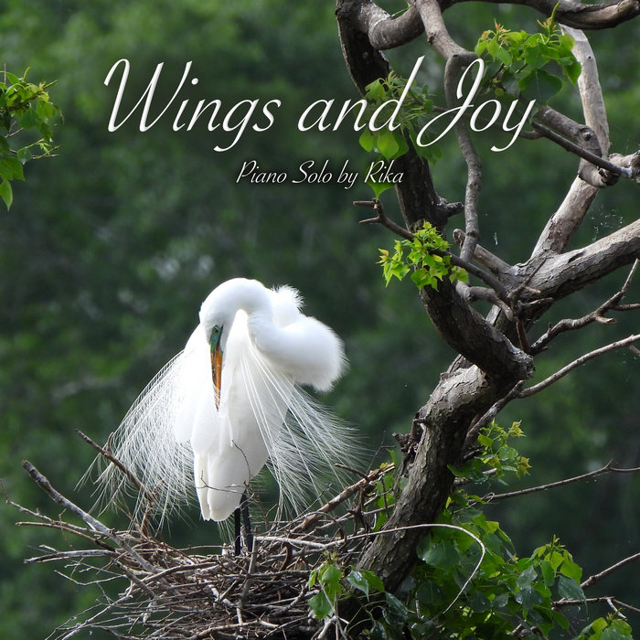 Wings and Joy cover art