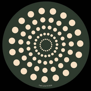 FL016 MEHR - A Funkadelic House EP Remix from FEDOFast Lane cover