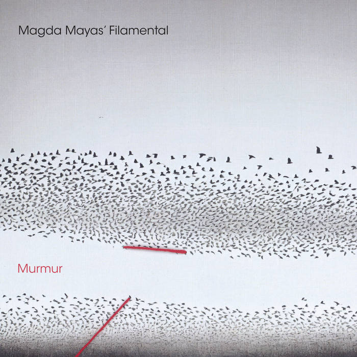 Murmur | Magda Mayas' Filamental | Relative Pitch Records