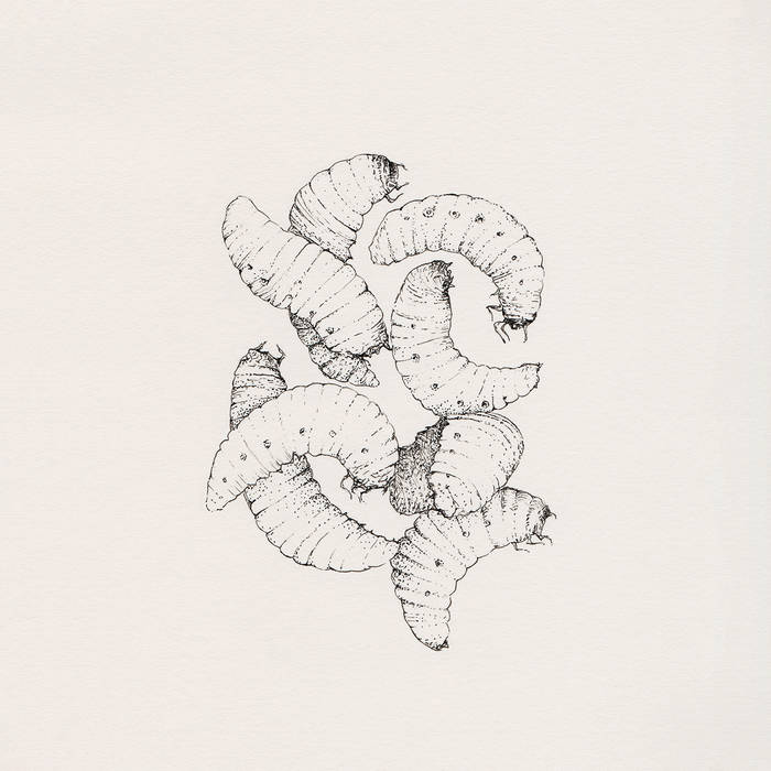CL002] Standard For The Cursed | HARDLAB | UNKNOWN PLEASURES RECORDS