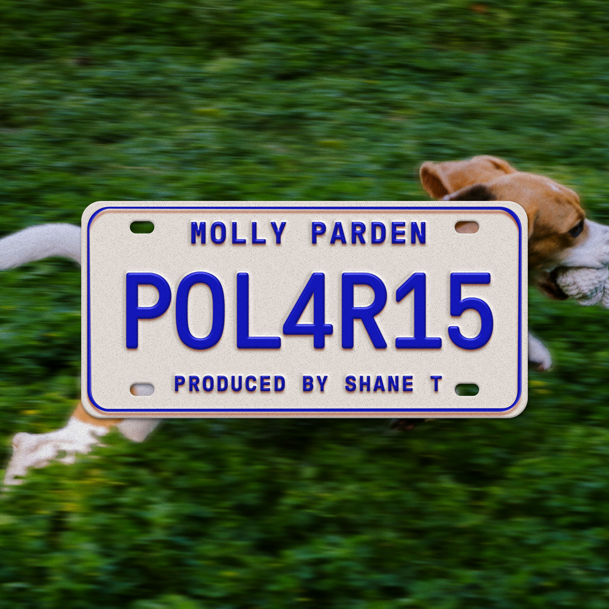 Polaris