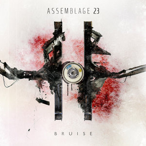 Assemblage 23 — Bruise