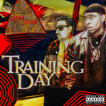 Training Day cover art