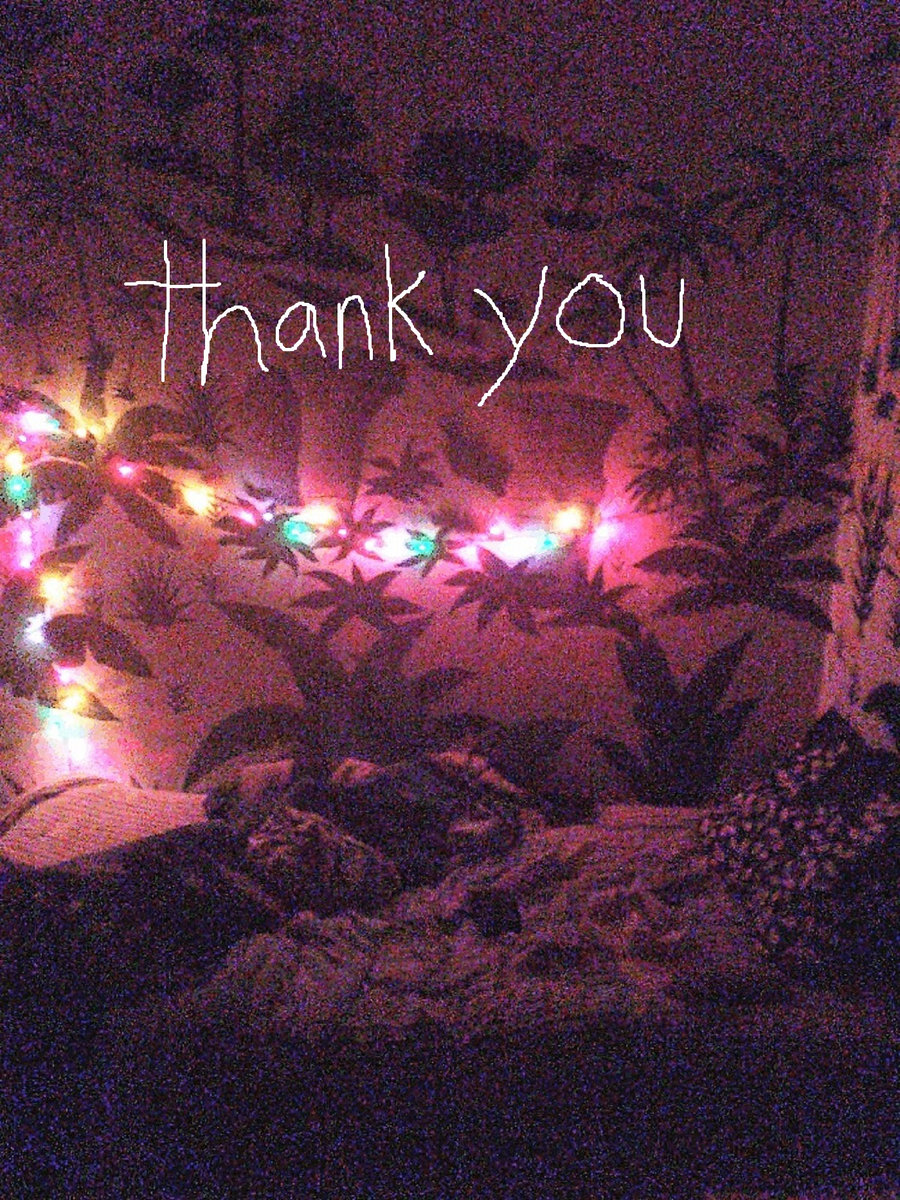 anemoneyouth CD Thank You for シューゲイザー anemoneyouth CD Thank