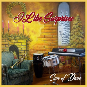 I Like Surprises cover