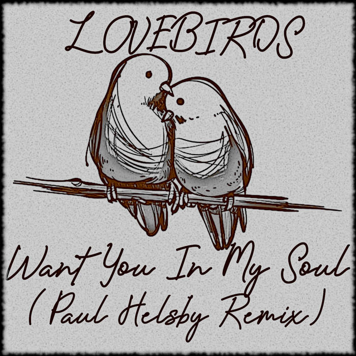 Lovebirds Ft Stee Downes - Want You In My Soul (Paul Helsby Remix