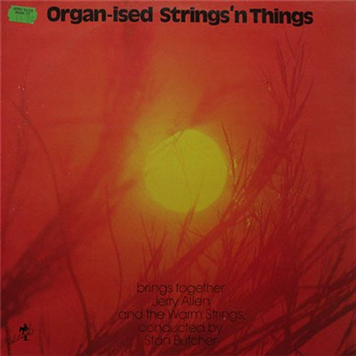 Organ ised Strings N Things | Jerry Allen