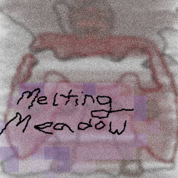 Under Questioning | Melting Meadow