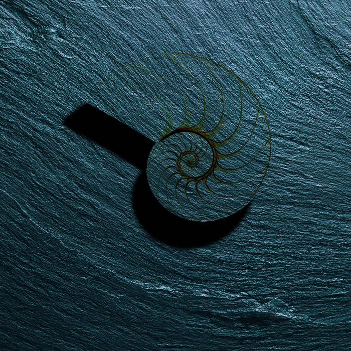 Air on the G String Johann Sebastian Bach (Backing Track