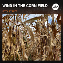 Wind in the Corn Field cover art