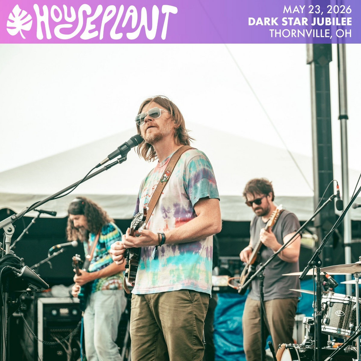 Explorations No. 1: The Opal Sun | Houseplant