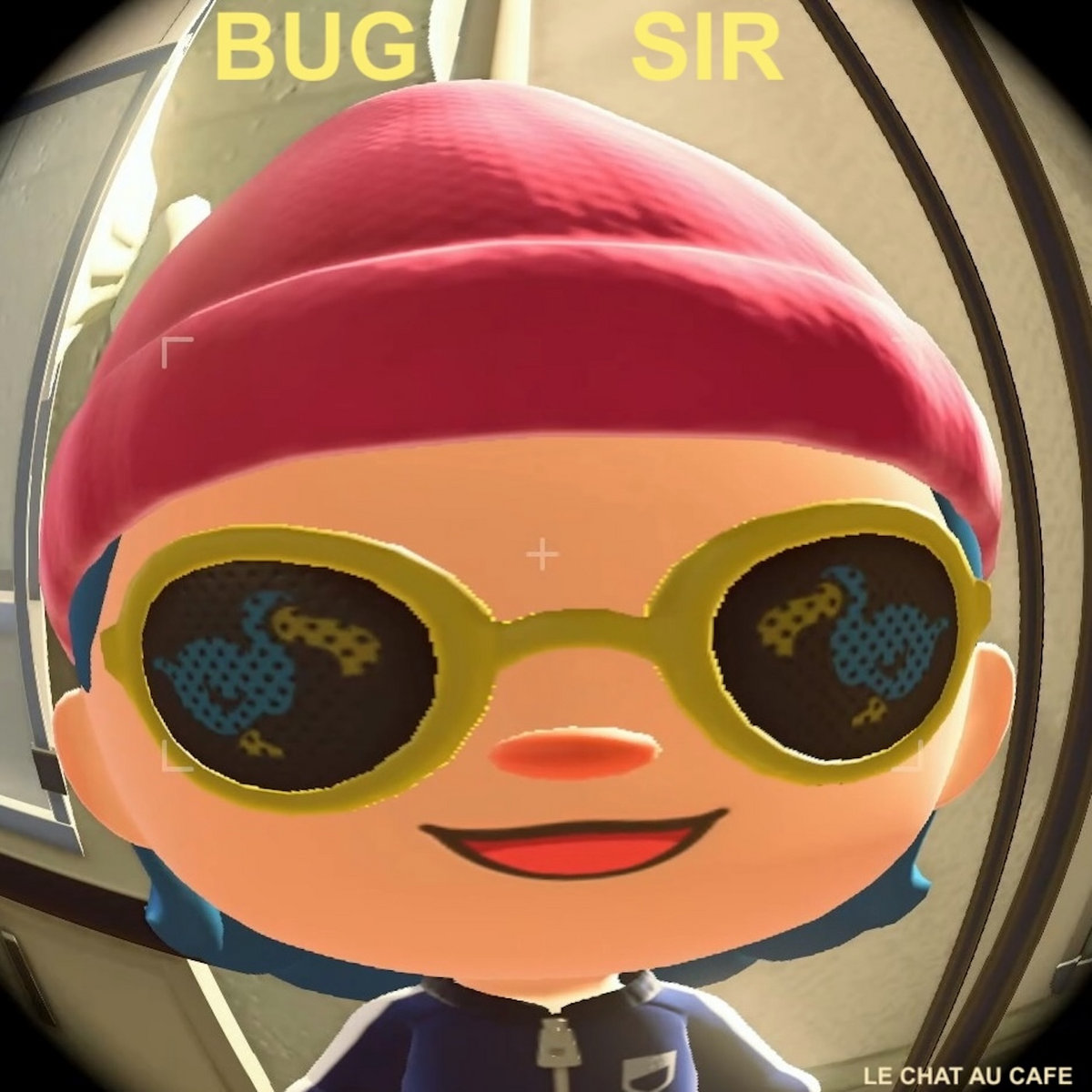 Bug Sir