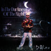 In the darkness of the night