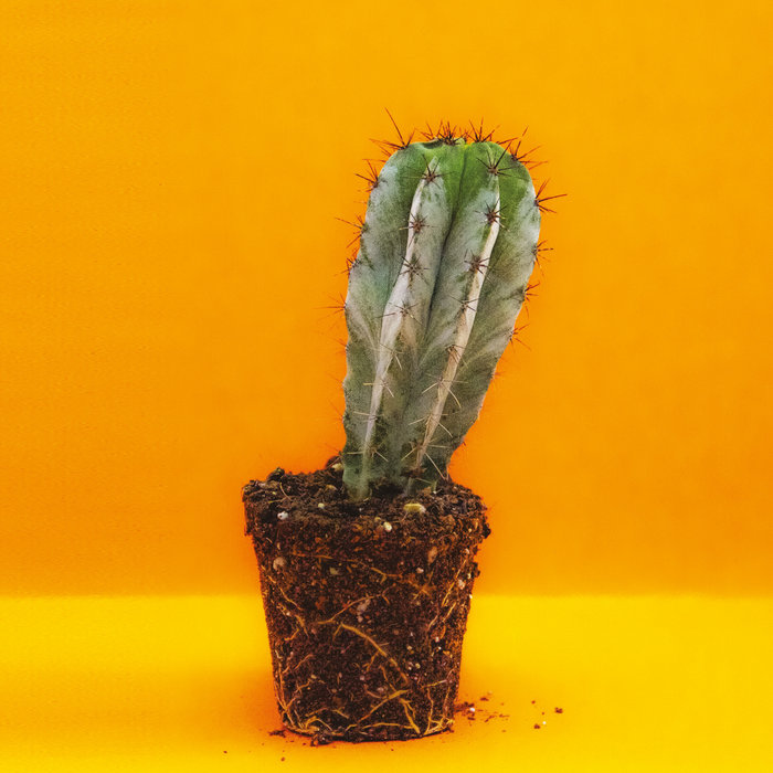 Not Today Chill Bump